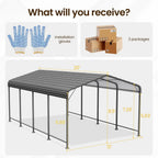 Metal Carport 12x20FT Heavy Duty Canopy for All-Weather